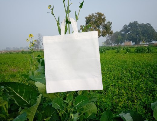 stock-photo-box-type-non-woven-reusable-white-bag-hang-with-green-plant-eco-friendly-bags-on-green-background-1606525486