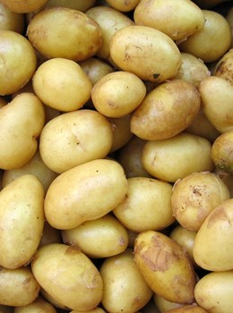 PotatoPlastic